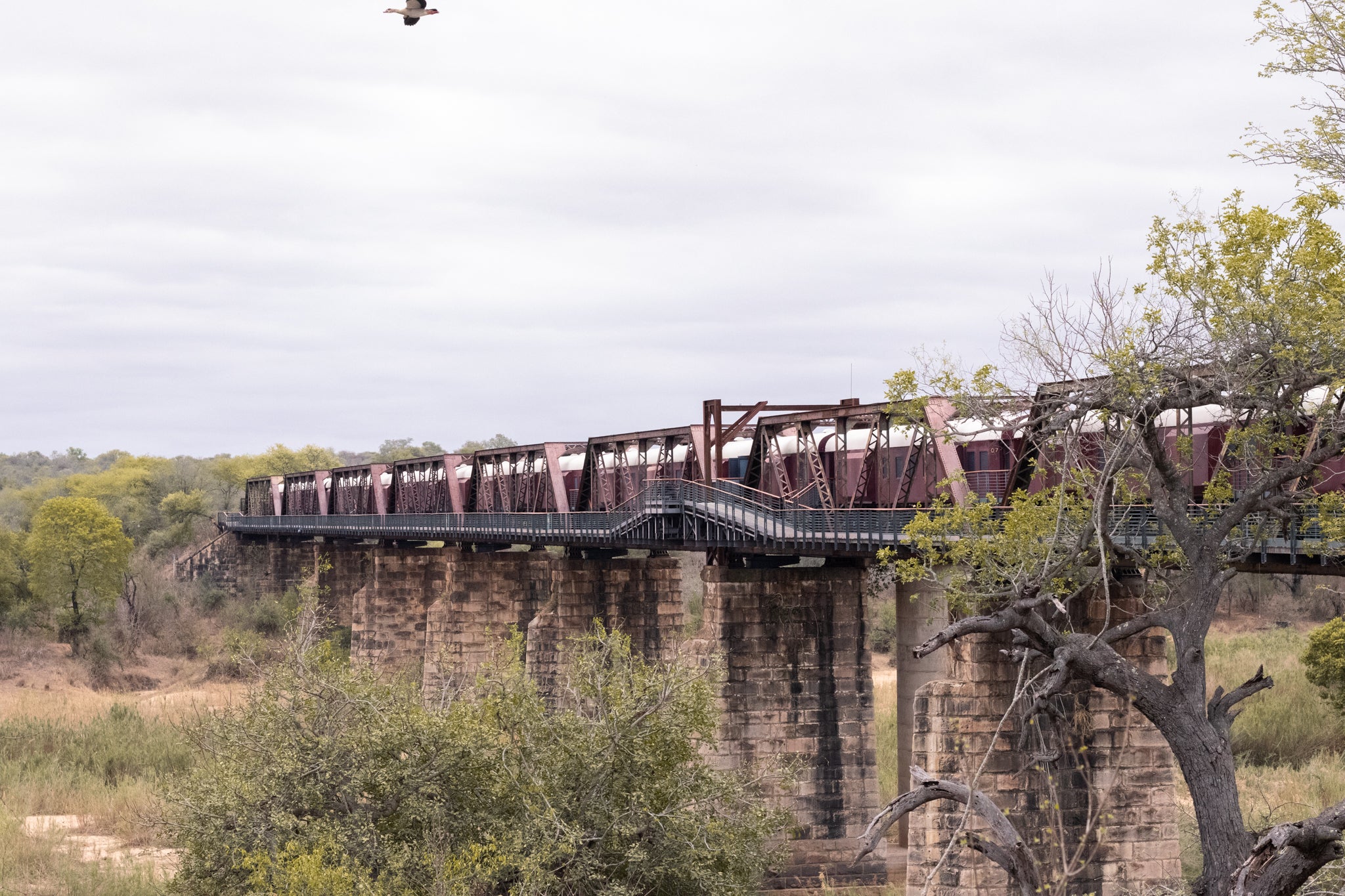 Celebrating Community At Kruger Shalati